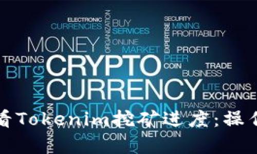 如何有效查看Tokenim挖矿进度：操作指南与技巧