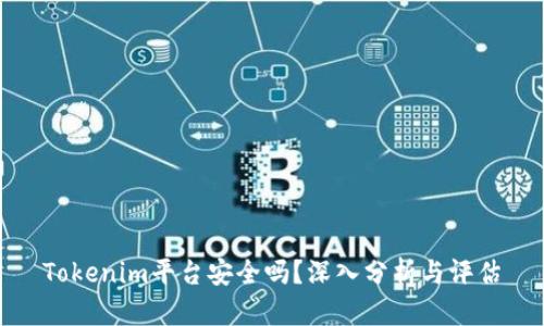 Tokenim平台安全吗？深入分析与评估