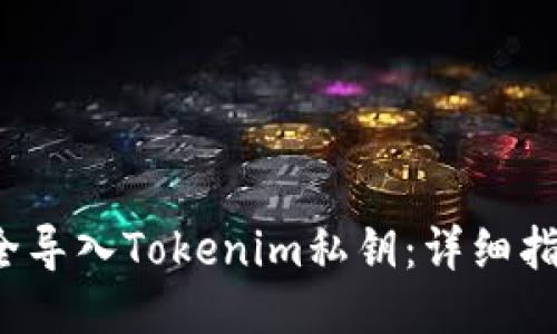  如何安全导入Tokenim私钥：详细指南与技巧