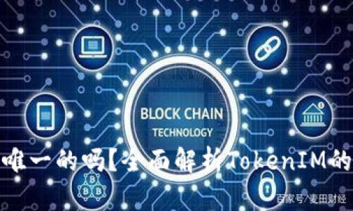 TokenIM地址是唯一的吗？全面解析TokenIM的地址特性与应用